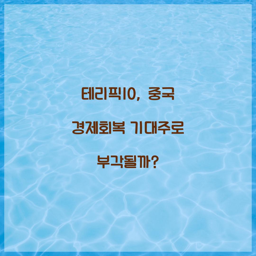 테리픽10