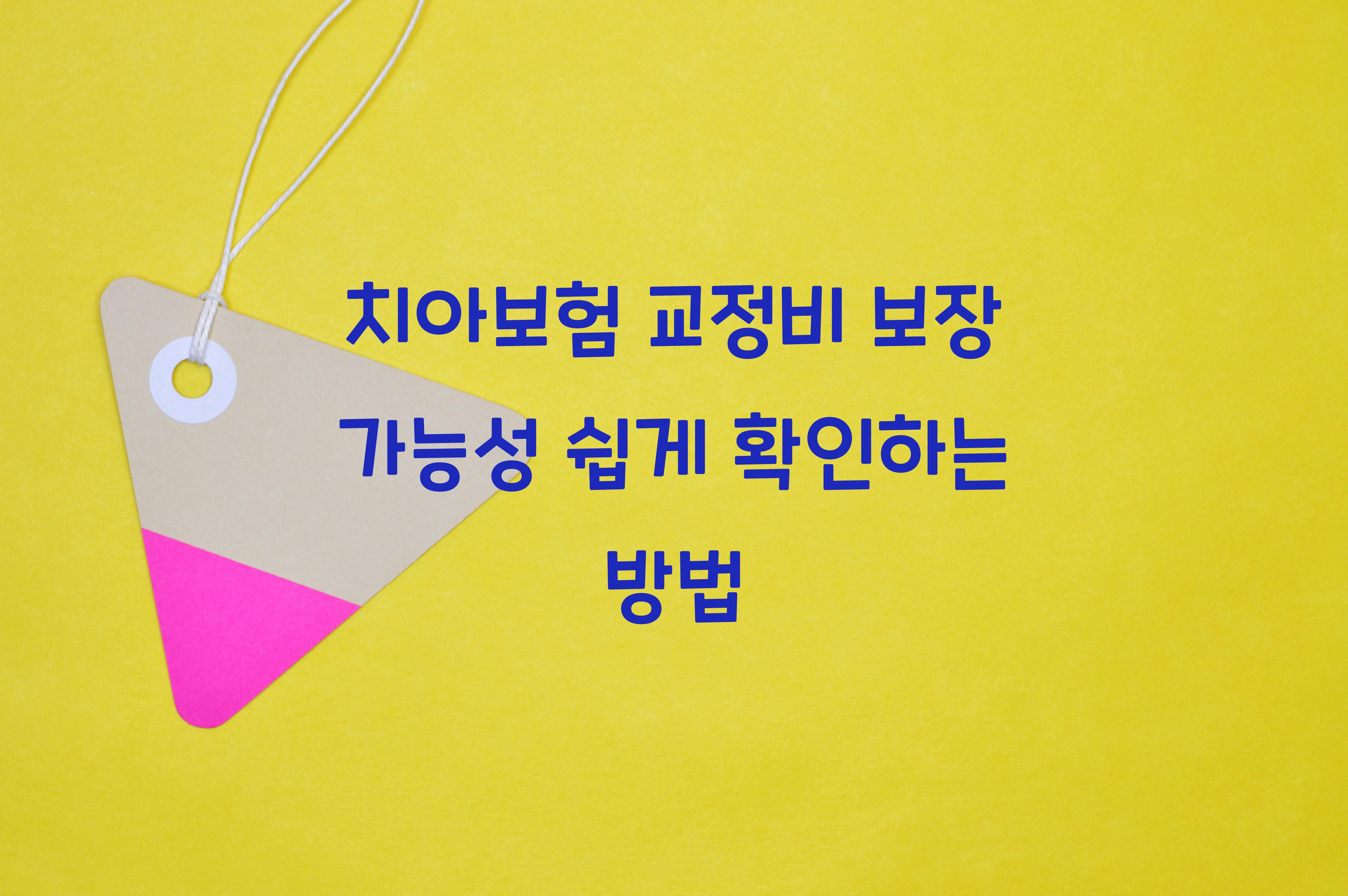 치아보험 교정비 보장 가능성