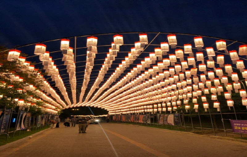 영광 불갑산 상사화 축제 연등