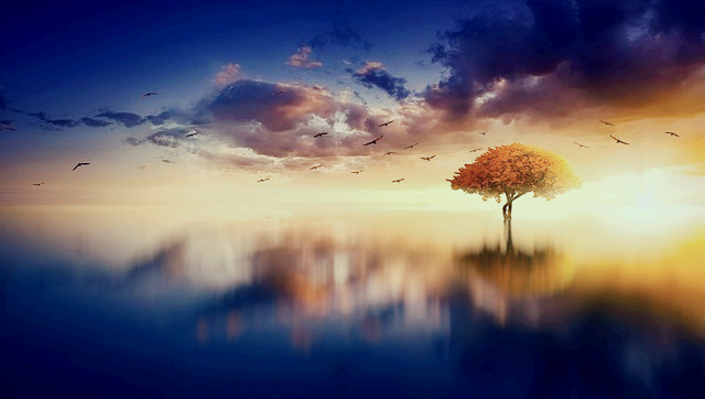 이빨 빠지는 꿈 해몽