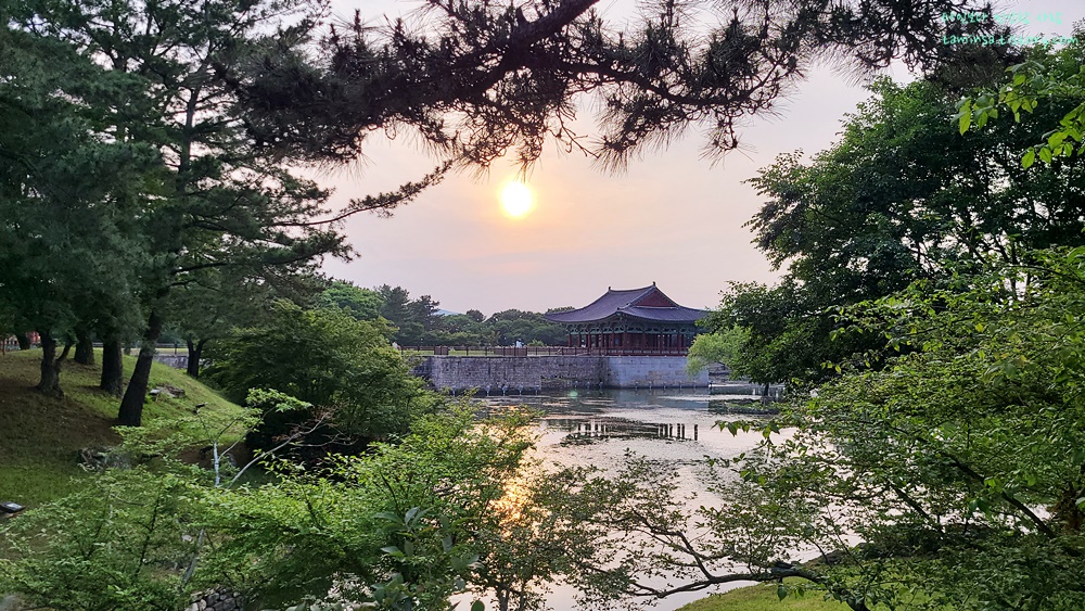 동궁과월지-야경