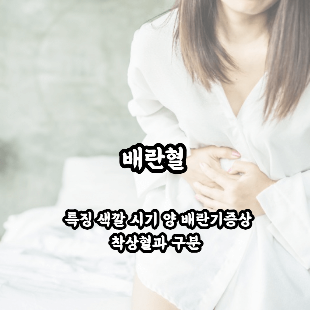 배란혈 원인 색 양 기간 증상 착상혈과 구분법