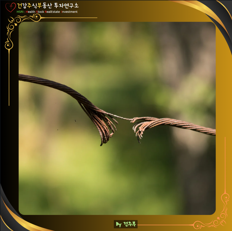 히브리서 5장 묵상 : 인간의 몸으로 순종하신 영원한 대제사장 예수님

(글 그림 : 건주부, 그림 출처 : Canva)