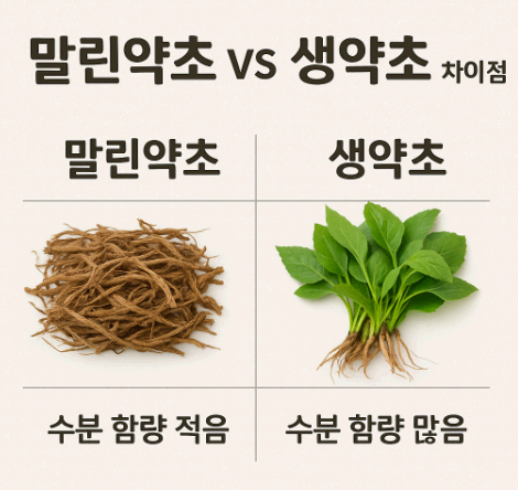 말린약초 vs 생약초 차이점