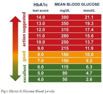 당화혈색소 정상치_9