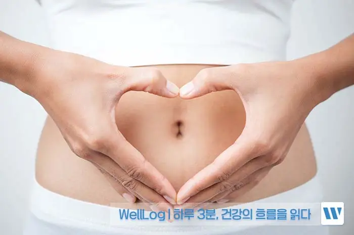 시서스 효능, 복용방법, 주의사항