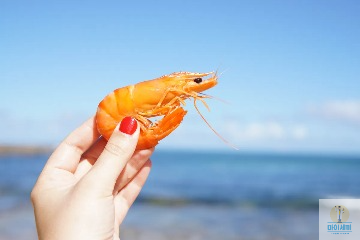 새우 아르기닌 1.18g