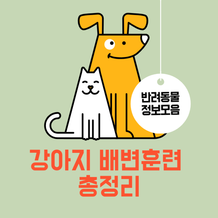 강아지-배변훈련-총정리-썸네일