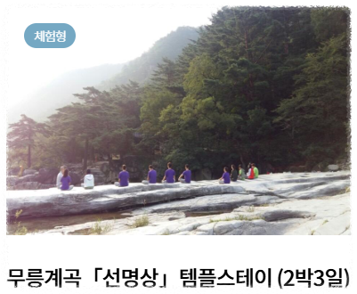 템플스테이 후기