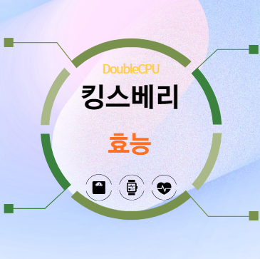 킹스베리 효능 5가지 탐구