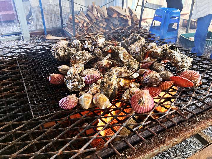 6시내고향 사천 비토섬 장작 굴구이 생굴회 조개구이 따끈따끈한 굴떡국 굴라면 자연산 생굴 전국택배 가능 맛집 오늘 방송 추천 
