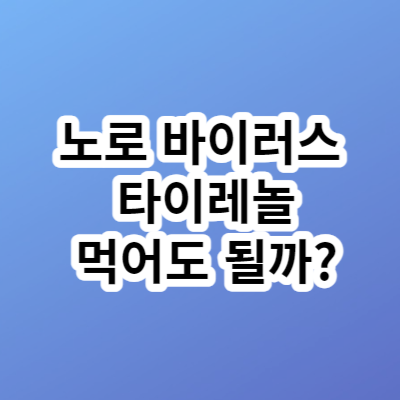 노로 바이러스 타이레놀 먹어도 될까?