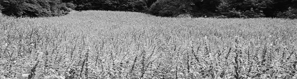 늦어도 6월 이내