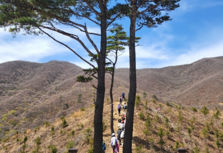 DMZ 펀치볼 둘레길