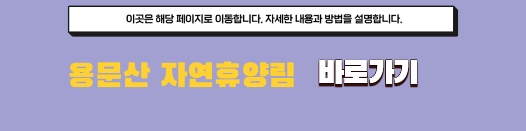 용문산 자연휴양림