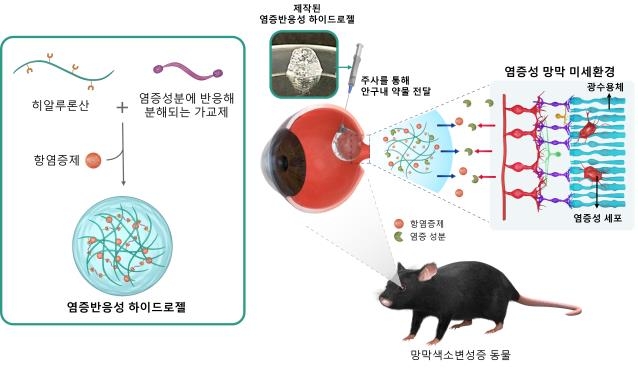 망막변성