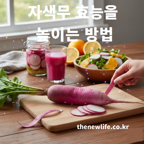 자색무 효능을 높이는 방법 – 생으로 섭취하고 껍질째 먹어 항산화 성분을 유지하는 모습