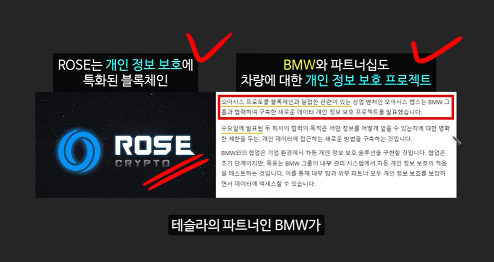 AI 메타 속 주목받는 3대 AI 코인: 로즈, 에이더, 페치 AI의 급등 근거