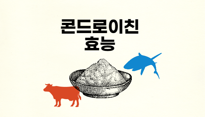 콘드로이친의효능 썸네일