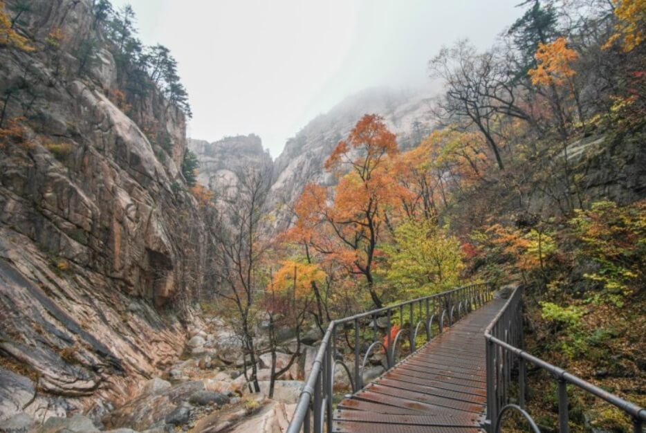 2024년 가을 단풍시기 (출처 : 한국관광공사)