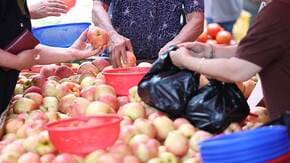 농할상품권 사용처 구매방법 할인 2024