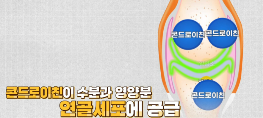 콘드로이친