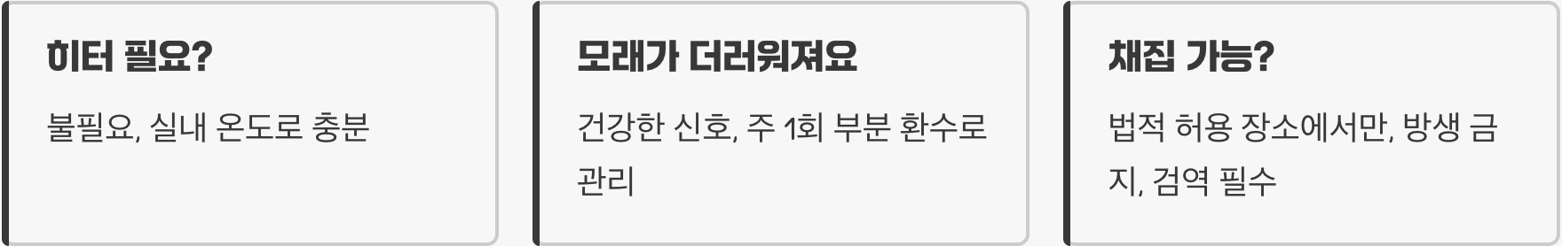 모래무지 키우기 완벽 가이드 (어항, 먹이, 수질 관리)