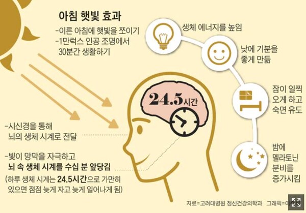 일조량이 생체리듬에 영향을 주는 이유와 관리방법