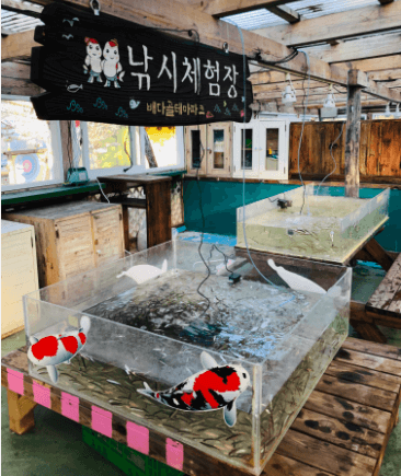 빙어낚시하기
