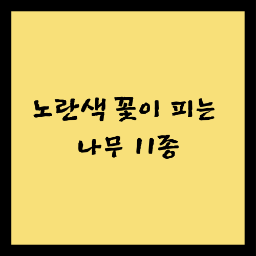 노란색 꽃이 피는 나무 11종