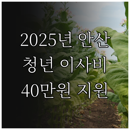 2025년 안산 청년 부동산 이사비 ..