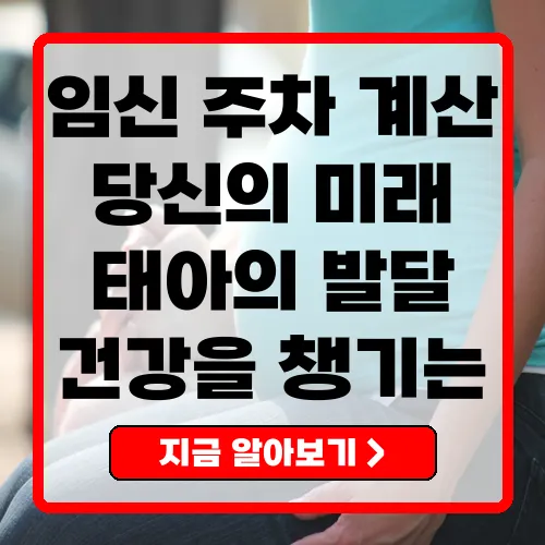 임신 주차 계산