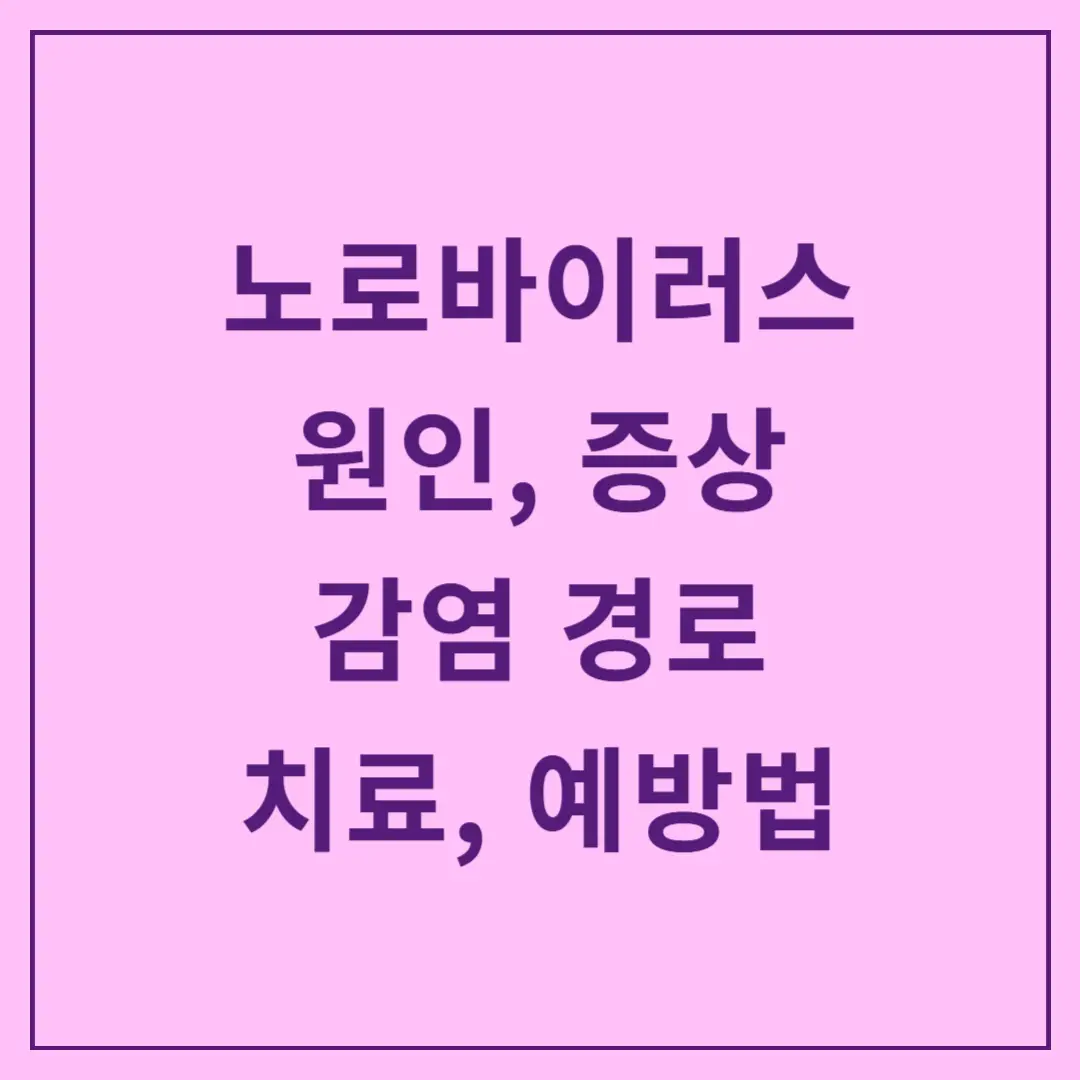 노로바이러스-원인,-증상,-감염-경로,-치료·예방법
