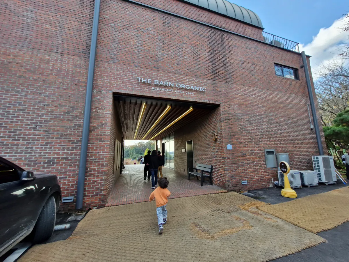 더반올가닉-정문으로-들어가는-아이