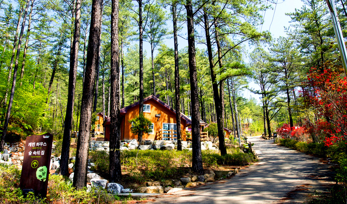 2025 광양전어축제가 한자리에! 