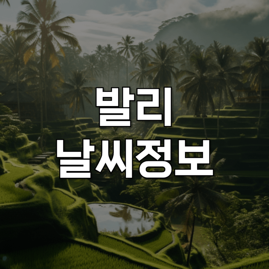 발리 월별 날씨 완벽 가이드: 우기와 건기, 언제 떠나야 할까?