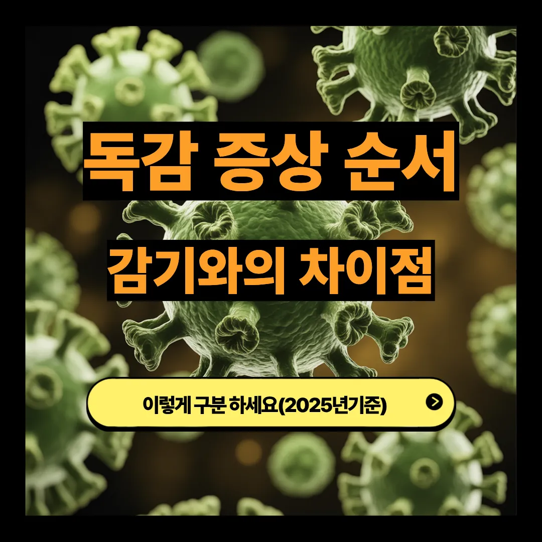 독감증상 순서 감기와의 차이점 이렇게 구분하세요