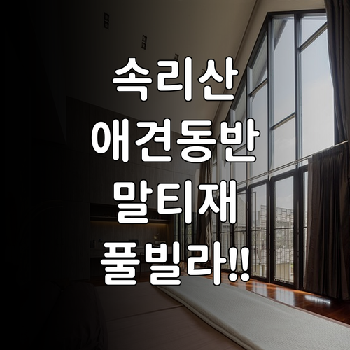 보은 속리산 애견동반 숙소 추천 및 ..