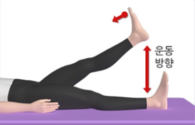 무릎관절염-하체운동