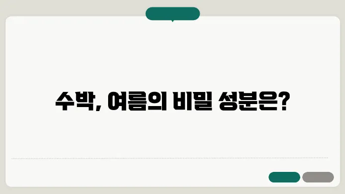 수박 성분