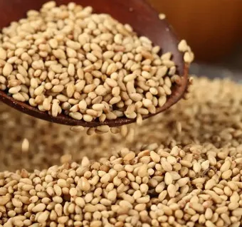 참깨 파종시기 재배방법 남부 중부_6