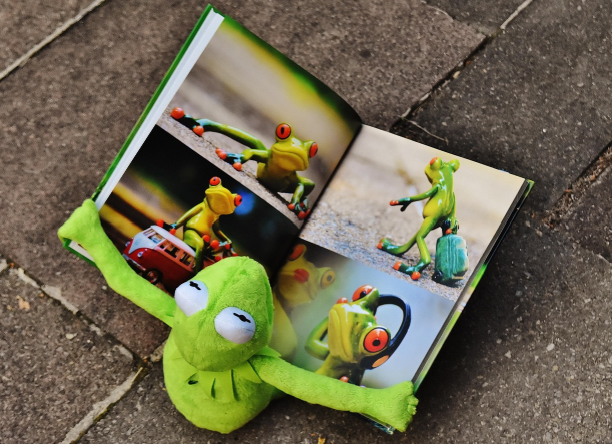 영유아 그림책 선택 기준｜연령별로 꼭 확인할 포인트