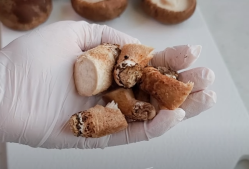 버섯볶음 황금레시피