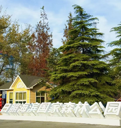 중국 르자오 해변 국립 숲 공원