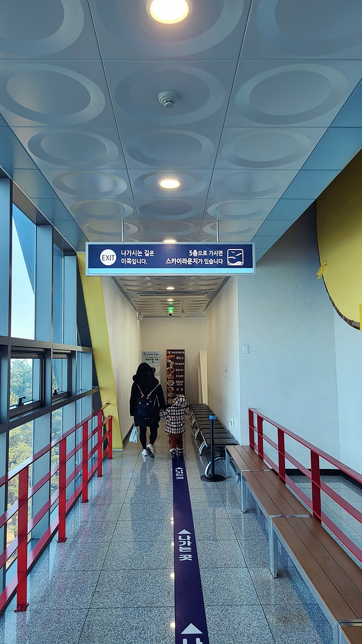 삼척해상케이블카-장호역