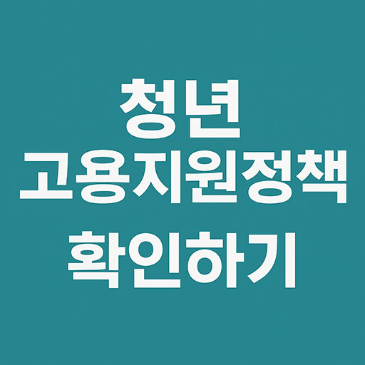 청년 고용지원정책