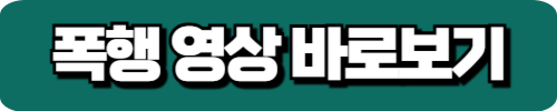 폭행 영상 바로보기