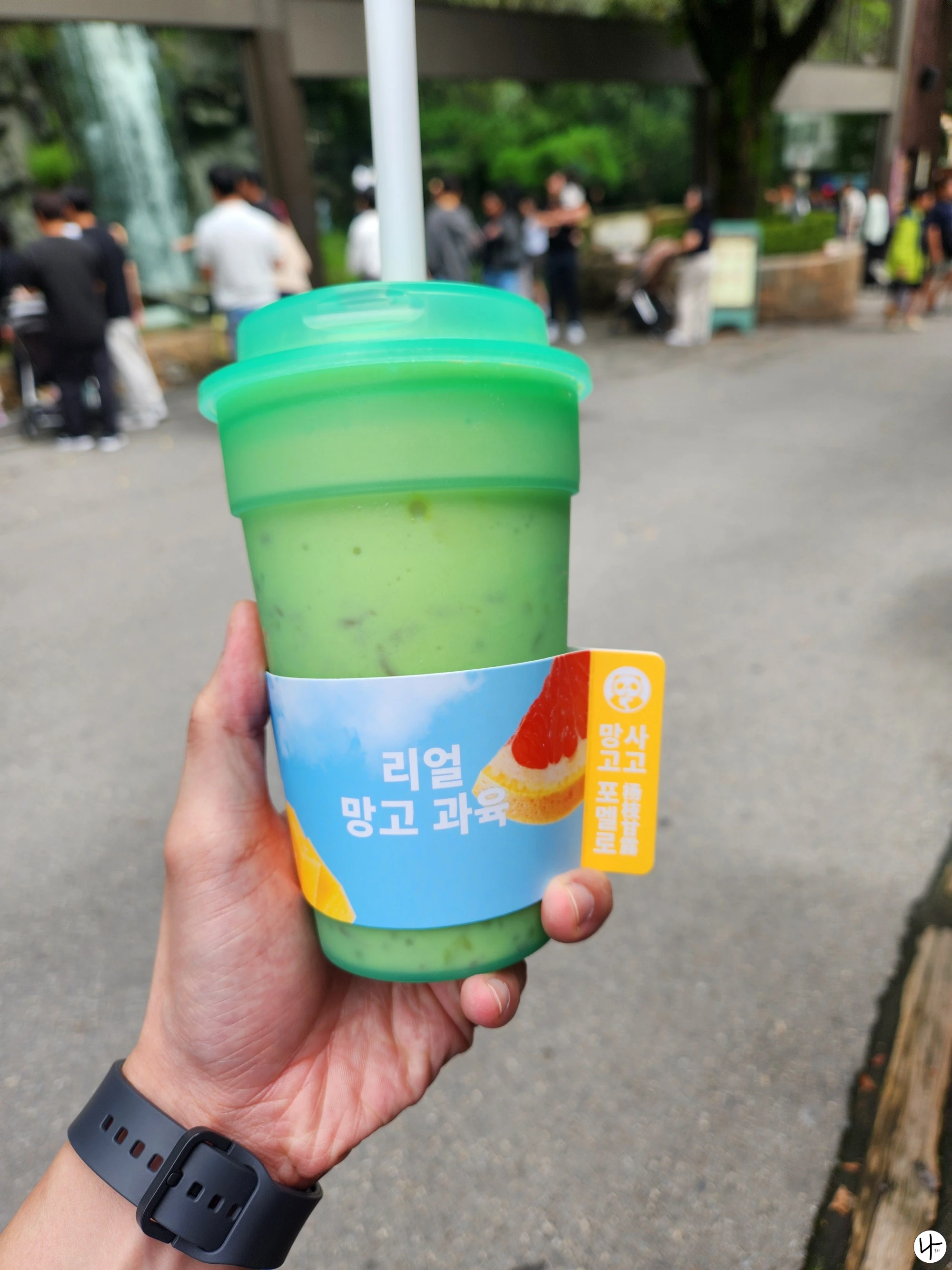 망고-포멜로-사고-홍콩식-디저트