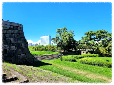 자주 묻는 질문 (Q&amp;A)