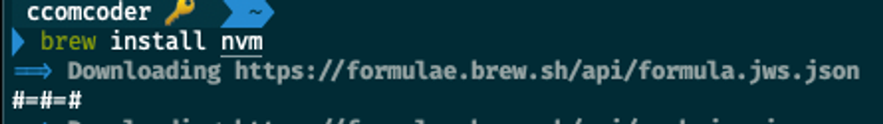 brew install nvm 명령어 실행 후 설치 과정 화면